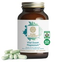 PURE SYNERGY Vital Ocean Magnesium | Organic Magnesium Supplement Capsules | Vegan, Seaweed-Based Complex with Spirulina, Chlorella, & Wakame | for Energy, Sleep, & Stress (60 Capsules)