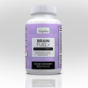 Brain Fuel+ DMAE Blend Memory Supplement pour Focus, Mood, Mental Energy for Busy Men & Women - 60 Capsules, Fabriqué aux États-Unis