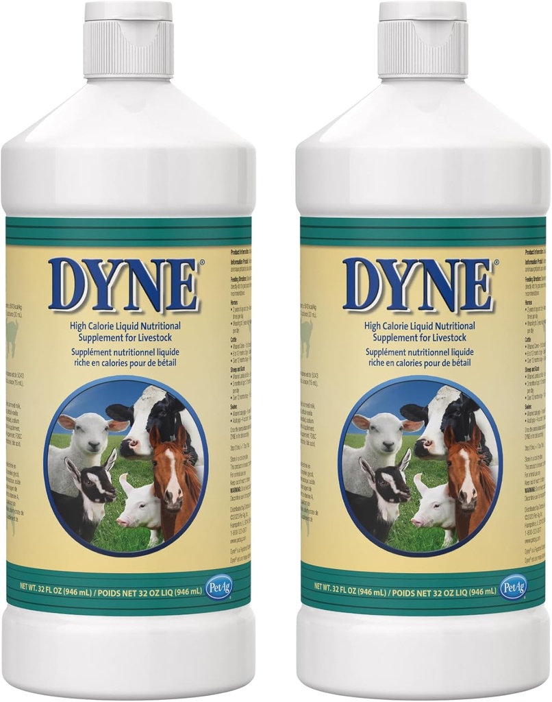 PetAg Dyne supplément nutritionnel liquide à haute calorie pour le bétail - 32 oz - Comprend les vitamines ajoutées - Excellent pour les animaux sous-poids, stressés ou récupérant