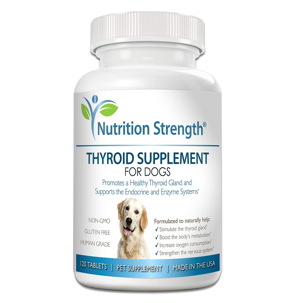 Supplément thyroïdien pour chiens, soutien de l'hypothyroïdie chez les chiens avec bladderwrack biologique, favorise la fonction normale des systèmes endocriniens et enzymatiques, 120 comprimés à croquer