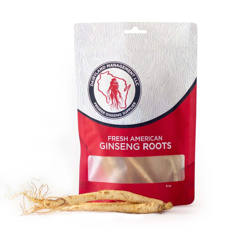 Dairyland Fresh American Ginseng Roots, 8 oz Fresh Wisconsin Ginseng, Direct from The Farmer to The Consumer, Premium Quality Ginseng