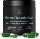 Capsules de Phytoplancton Marine par Holistic Bin (en anglais seulement) Grown Naturally in Nordic Seawater (en anglais seulement) Vegan Omega 3 Supplement Riche en acides aminés, chlorophylle, vitamines et minéraux traces