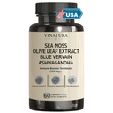 VINATURA Moss de mer biologique, Vervain bleu - avec huile de graines noires, Ashwagandha, gingembre, gélules de racines de dard - 1250mg par portion, *USA Made &Tested* Immune Booster pour adultes
