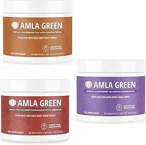 Poudre d'amla, supplément de thé vert Superfood avec Spice de citrouille et Hibiscus et Elderberry, biologique, végétalien, 30 portions