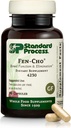 Procédé standard Fen-Cho - Supplément de santé digestif et gustatif - Sans gluten, sans lait et sans soie - 90 capsules (45 portions)