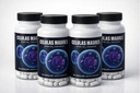 Madre Cells New Version Celulas Madres (4 Bottles) 200 mg Stem Enhancer Cell Aphanizomenon Flos-aquae. 240 Capsules Stem Cells