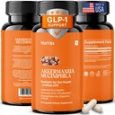 Akkermansia Probiotic for Cravings & Gut Health | GLP-1 Support Supplement with Akkermansia Muciniphila – 2 Billion CFU, Inulin Prebiotic Fiber – 60 Capsules, 1 Pack