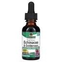 Réponse de la nature Enchinacea & Goldenseal (en anglais seulement) soutient un système immunitaire sain (en anglais seulement) Extrait pur super concentré (en anglais seulement) sans alcool, sans gluten, végétalien et kasher certifié 1oz