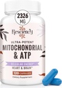 2326 MG Mitochondrial suppléments avec ATP, vitamines, CoQ10 et PQQ, plus efficace que la créatine HMB et l'oxyde nitrique, énergie, endurance, force, récupération et muscle, biologique, 120 capsules