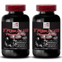 Pure Energy Source - TRIBULUS TERRESTRIS EXTRACT - Active Energy Recharge, Strength Recovery Boost, Nature-Inspired Performance, Muscle Energy Blend, Stamina Support 2 Bottles 180 Tablets