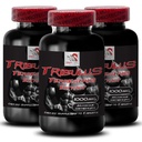 Muscle Recovery Booster - TRIBULUS TERRESTRIS EXTRACT - Energy Recharge, Dynamic Stamina Support, Active Strength, Physical Power, Strength Enhancement, Energy Stamina Power 3 Bottles 270 Tablets
