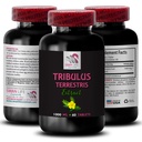 Strength Surge - TRIBULUS TERRESTRIS EXTRACTS - Energy Recharge, Physical Stamina Boost, Muscle Recovery Support, Natural Muscle Support, Strength and Focus, Athletic Support 1 Bottle 60 Tablets