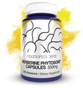 Nootropics Depot Berberine Phytosome Capsules | 550mg | High Bioavailability | Berbevis | Berberis aristata | Metabolic Health, Cognitive Function