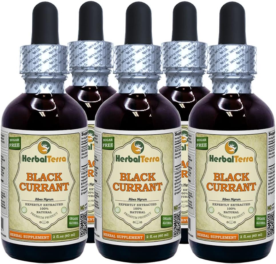 Black Currant (Ribes nigrum) Tincture, Dried Leaves Liquid Extract (Brand Name: HerbalTerra, Proudly Made in USA) 5x2 fl.oz (5x60 ml)