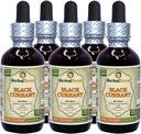 Currant noir (Ribes nigrum) Teinture, feuilles séchées Extrait liquide (Marque: HerbalTerra, Fièrement fabriqué aux États-Unis) 5x2 fl.oz (5x60 ml)
