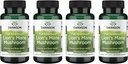 Swanson Full Spectrum Lion's Mane Mushroom - Supplément santé cérébrale pour soutenir la mémoire, la concentration et la clarté* - Peut également aider la santé immunitaire, cardiaque et digestive - sans gluten et sans OGM - 60 capsules (4 pack)