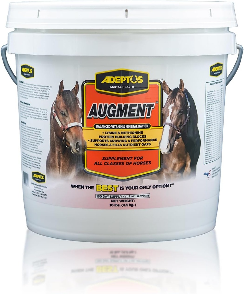 Adeptus Nutrition Augmenter Vitamine & Mineral Balancer, Horse Nutrition Enhancement Supplément avec Biotine, Amino Acides, Minerals