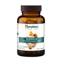 Himalaya Boswellia, Soutien conjoint pour la mobilité et la flexibilité, favorise la préservation des tissus, 250 mg, 60 Capsules