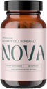 Nova Ultimate Renouveau Cell/Spermidine Supplement, complément anti-vieillissement de la germe de blé biologique avec haute spermidine, zinc et thiamine pour l'autophagie optimale, 60 capsules (paquet de 1)