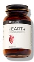 Blisque – Supplément de soutien de la pression artérielle naturelle pour la santé cardiovasculaire et la circulation.