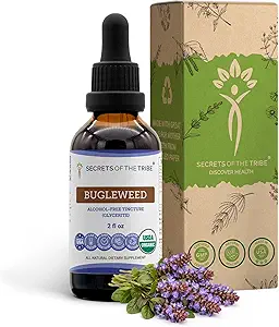 Bugleweed USDA Organic (extrait d'alcool-FREE, gouttes d'herbe à haute puissance, système respiratoire) Fabriqué à partir de bugleweed biologique 100% certifié (Ze Lan, Lycopus Virginicus) Herbe séchée 2 oz
