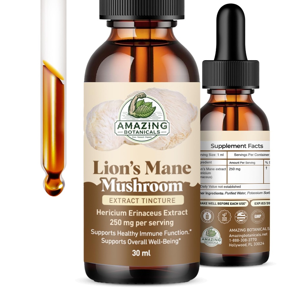 Lion’s Mane Mushroom Extract Tincture – 250mg – Dual Extracted Nootropic Supplement – Liquid Hericium Erinaceus for Focus, Memory & Brain Support, Vegan, Non-GMO, Sugar & Alcohol-Free Drops – 1oz