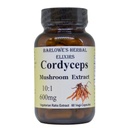 Cordyceps Mushroom | 10:1 Extract | Fruiting Body | 600mg Per Capsule | Endurance Support | 60 Veggie Capsules | Stearate Free - Glass Bottled