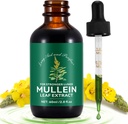Gouttes de Mullein pour poumons 2 Fl Oz, gouttes de Mullein naturel, supplément d'extrait de Mullein liquide d'absorption rapide, nettoyage pulmonaire, 1 mois d'approvisionnement
