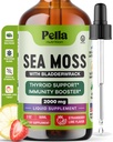 Pella Nutrition Sea Moss Drops with Bladderwrack – 4X Faster Absorption Through Irish Sea Moss Gel Superfood, Gummies et Capsules – Supplément de soutien digestif et immunitaire (Strawberry Lime, 60mL)