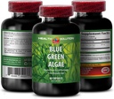 Blue Green Algae Superfood - Blue Green Algae - Blue Green Algae for Immunity - Klamath Shores Blue Green Algae, Supplément de digestion, Supplément de soutien immunitaire, Blue Green Algae Powder, 1b 60 Caps