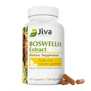 Jiva Botanicals Boswellia Extract Capsules 700mg par portion - Boswellia Serrata Extract Supplement & Black Pepper - Supplément de soutien pour la santé articulaire normale - 120 Capsules (paquet de 1)