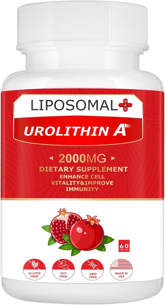 Urolithine liposomique A Supplément 2000MG pour Energy 60 Capsules