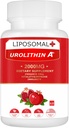 Urolithine liposomique A Supplément 2000MG pour Energy 60 Capsules