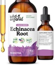 Teinture d'échinacée sauvage et biologique - gouttes de soutien immunitaire avec extrait de racine d'échinacée liquide - Suppléments Angustifolia - végétalien, sans sucre et sans alcool - 2 fl oz