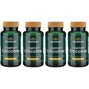 Swanson Cognizin Citicoline Brain Health Supplement for Professionals Seeking Mental Focus, Memory, and Cognitive Support - 1,000 mg (60 Veggie Capsules, 4 Pack)