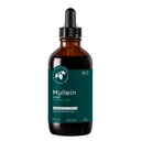 Mountain Meadow Herbs Mullein Leaf Extract (Verbascum thapsus) – Liquid Herbal Tincture – Non-GMO, Gluten-Free, 4 oz