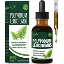 Polypodium leucotomos (Kalawalla Root) Immune Soutien gouttes, Natural Kalawalla Herb Extract Immunity Boost Supplément pour améliorer la santé de la peau. Calaguala para Proteger la Piel. 2oz