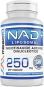MAAC10 Supplément Liposomique NAD 500mg Servant (2x250mg Capsules) Dinucléotide d'adénine de Nicotinamide
