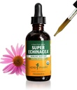 Herb Pharm certifié Bio Super Echinacea gouttes d'extrait liquide pour le support actif du système immunitaire, 2 Oz