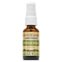 Honey Gardens Bee Propolis Throat Spray | with Apitherapy Raw Honey, Licorice Root and Usnea | 50 Servings | 1 Fl. Oz.