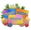 Youphoria Kanna Gummies, 600mg Vegan Botanical Supplement for Mood Support, 12 Count (Pineapple & Tangerine)
