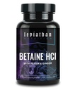 Leviathan Betaine HCl avec Pepsin & Ginger - Supplément enzymatiques digestifs pour l'aide et le soutien à la digestion, l'acide stomach et l'absorption des nutriments