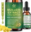 (2 Pack) 6 En 1 gouttes de Mullein pour les poumons, Teinture d'extrait de feuille de Mullein biologique pour les poumons, nettoyage de détox et respiratoire pour la santé respiratoire, supplément d'huile de Mullein Imune Support, Vegan, 1 Fl Oz