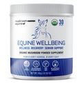Om Matrice de Champignons - Hippodrome de Bien-être aux États-Unis Grown Human-Grade Bio Mushroom Powder Show Safe Horse Supplement, Wellness, Recovery, & Senior Support
