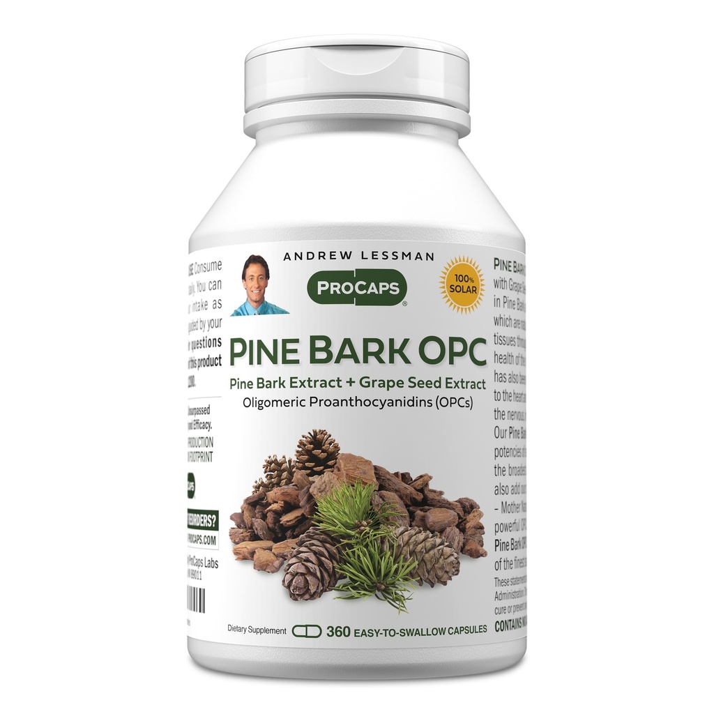 ANDREW LESSMAN Pine Bark OPC Anti-Oxidant Extraits 360 Capsules - Supporte les tissus et les systèmes d'organes pour neutraliser les radicaux libres, proanthocyanidines, puissant anti-oxydant, aucun additif
