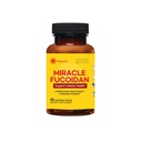 Premium Fucoidan Supplement with Agaricus Blazei & Shiitake Extract – Supports Cell Health & Immunity – High Potency, High Purity, High Bioavailability – 60 Capsules – Made in USA