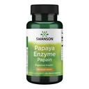 Swanson Papaine Papaya Enzyme 100 Milligrammes 90 gélules