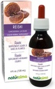Naturalma Reishi (Ganoderma lucidum) Fongus ou champignons Teinture sans alcool - 4 fl oz Extrait liquide dans les gouttes - Supplément à base de plantes - végétalien