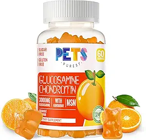 Animaux Purest Glucosamine Chondritin Gommies avec MSM & Elderberry Extra Strength - Joint Support, Antioxydant Immuni Support Supplément pour Adultes, Hommes et Femmes. Orange