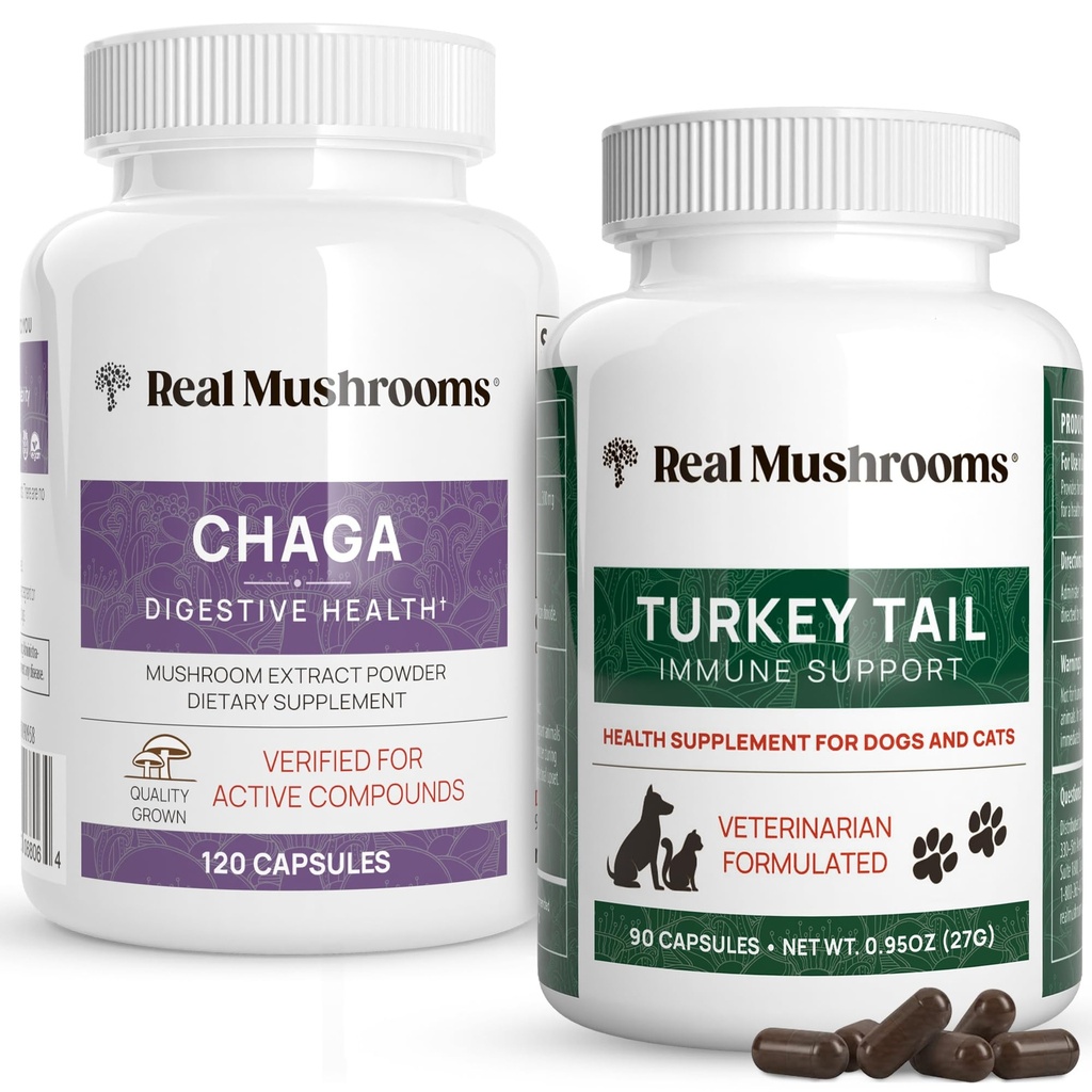 Real Mushrooms Chaga for Humans (120ct) & Turkey Tail for Animals (90ct) - Ensemble pour la santé et l'immunité digestives - Végétaux, non OGM, sans grains, sans gluten Capsules d'extrait de champignons